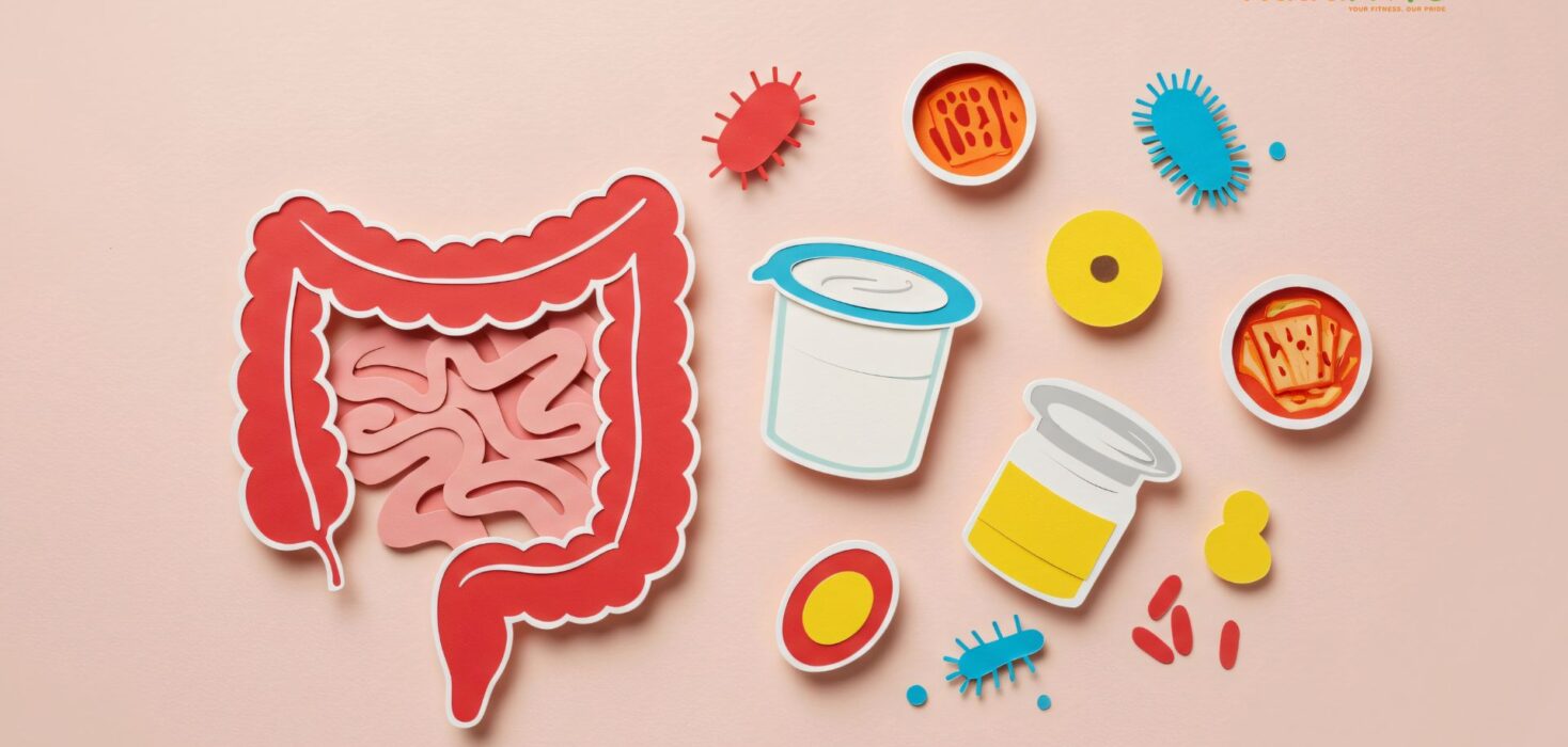 Gut Health & Snacking: Probiotics, Prebiotics & Smart Snack Choices